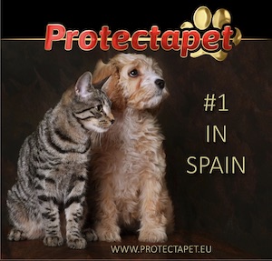 Cute cat and dog advertising that Protectapet is the no1 Pet healthcare plan provider in Spain.